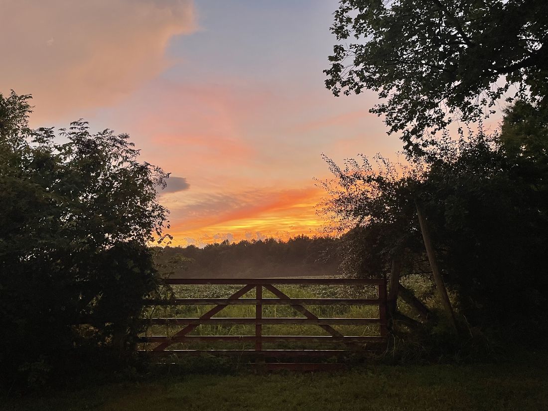 Sunset through the farm gate