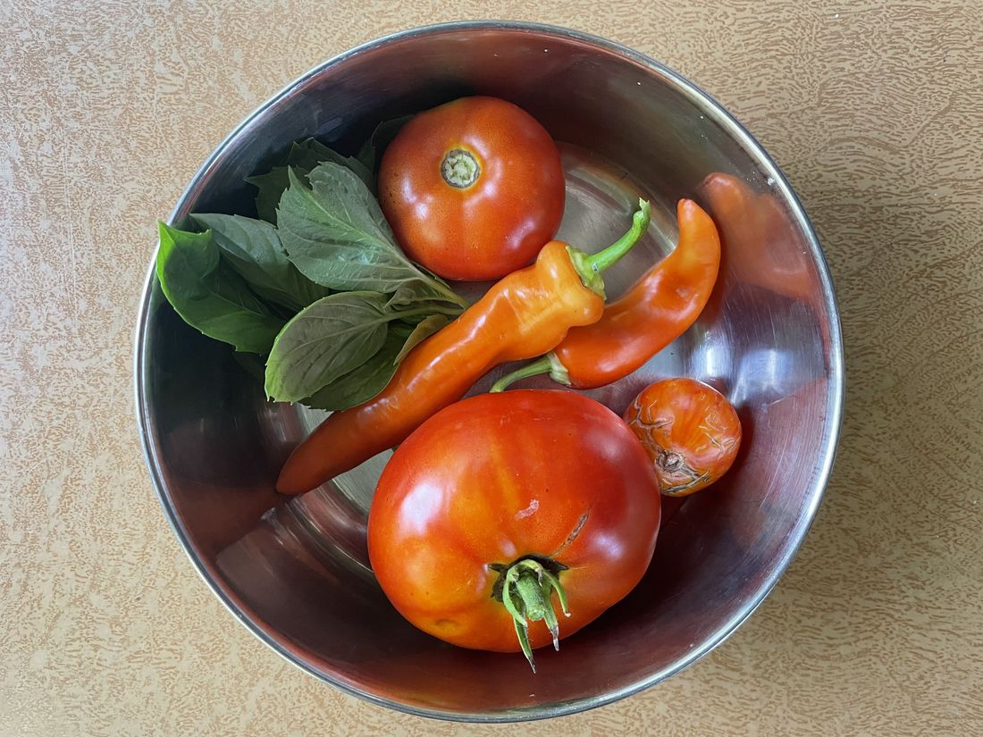 Farm harvest vegetables