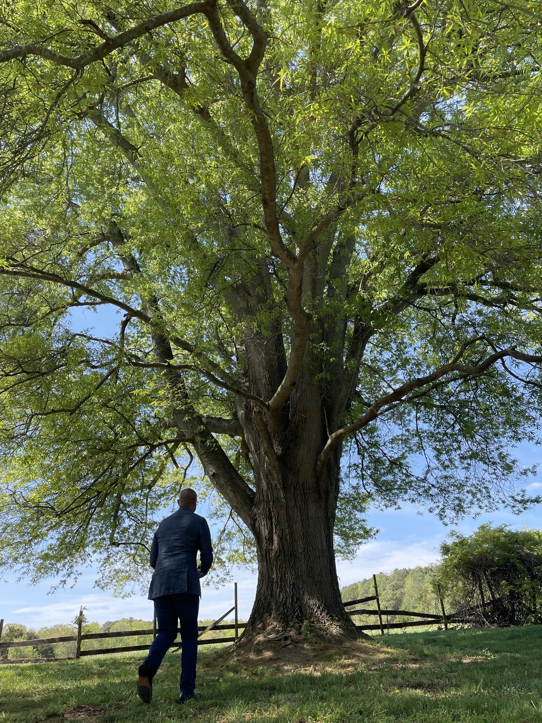 Nature walk and forest bathing at Black Soil Rising Farm