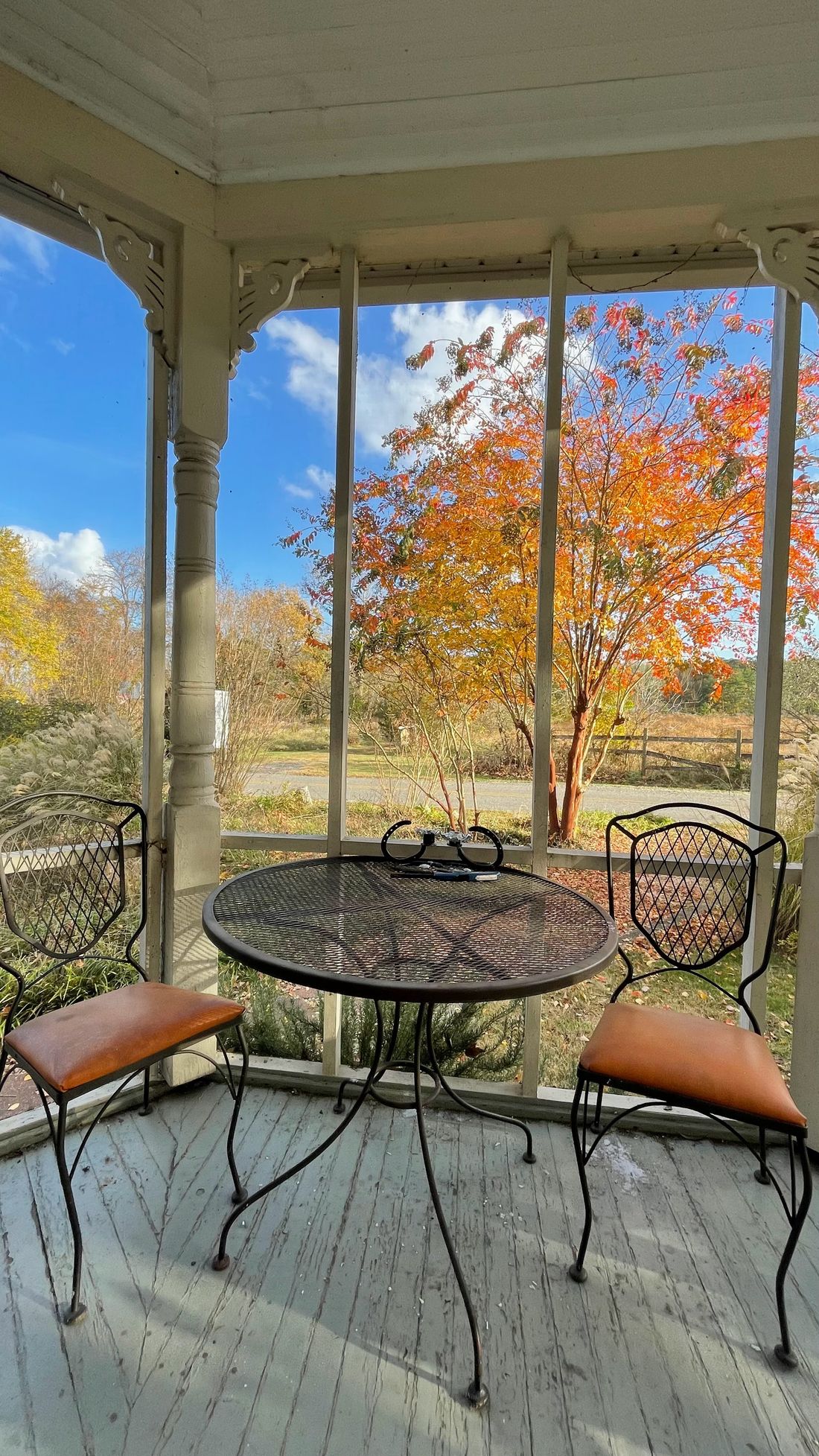 Screened porch with fall foliage view