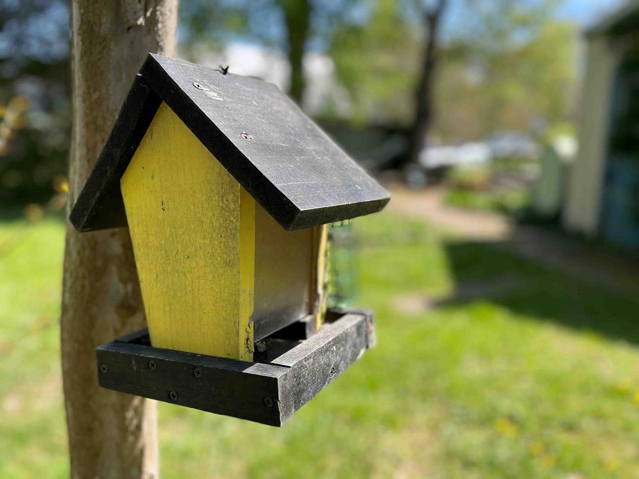 Birdhouse on the farm