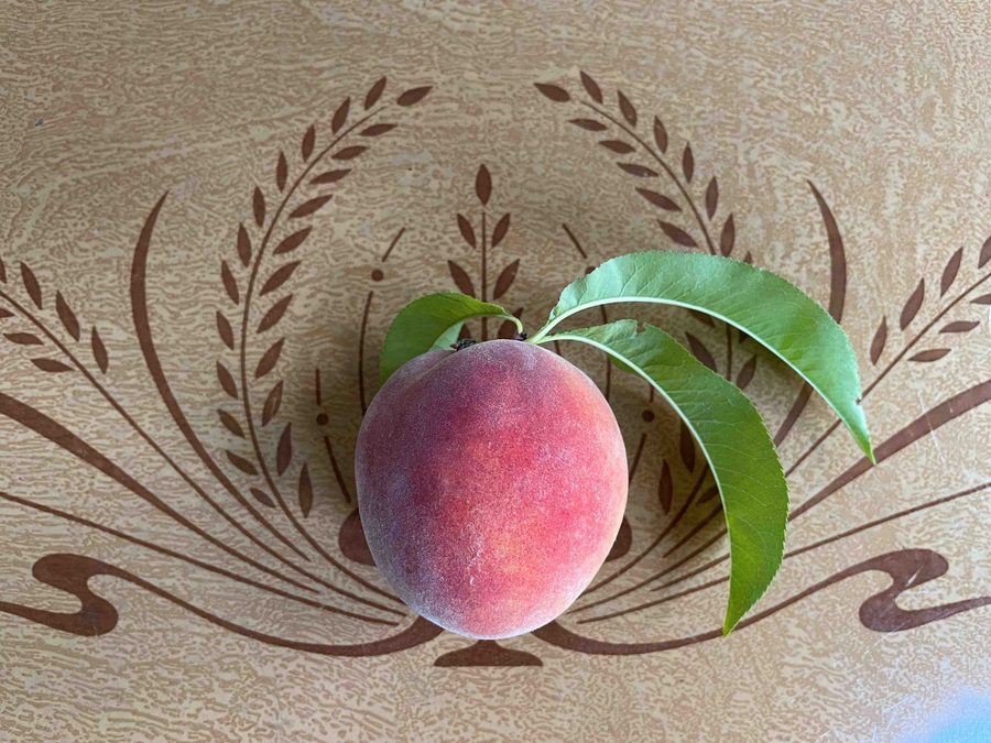 Fresh peach from the orchard